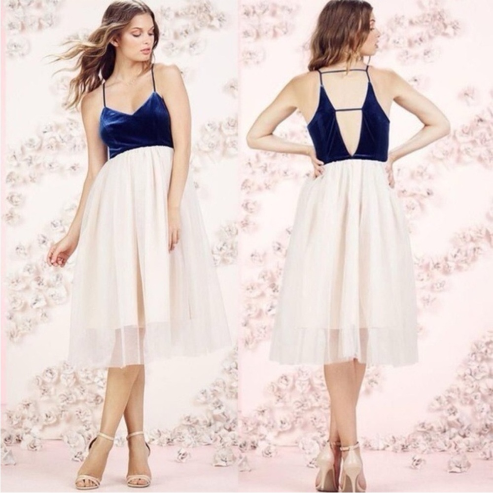 Lauren Conrad | Velvet Tulle Cocktail Dress